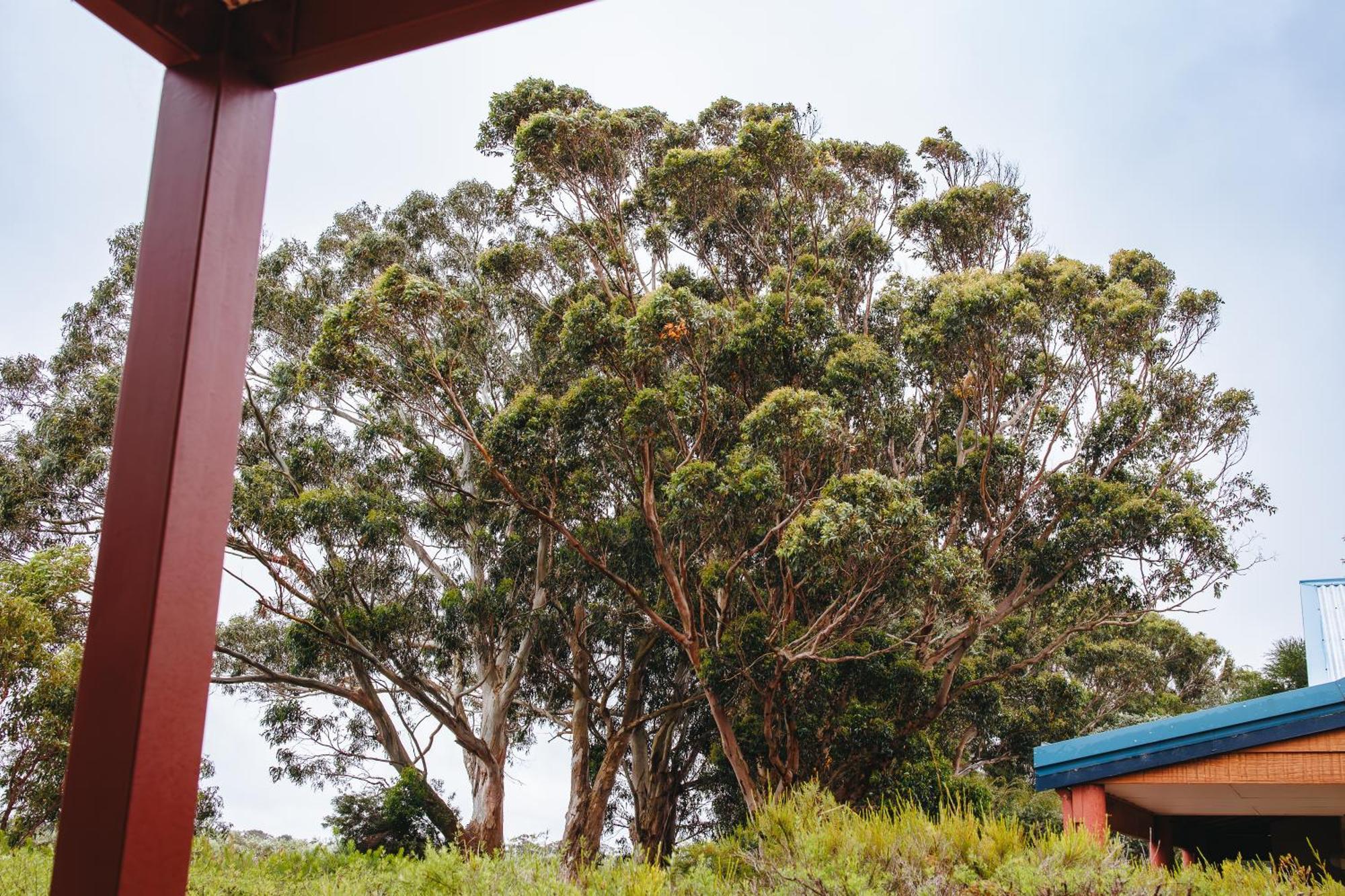 Cosy Corner By The Bnb Collection Albany Ngoại thất bức ảnh